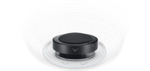 beyerdynamic Phonum Downfire Speaker